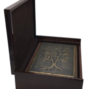 Faszination Heilpflanzen